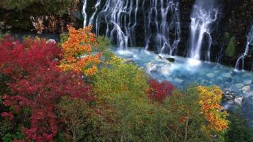 施設の敷地 / 24