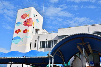 Uozu Aquarium (Toyama)