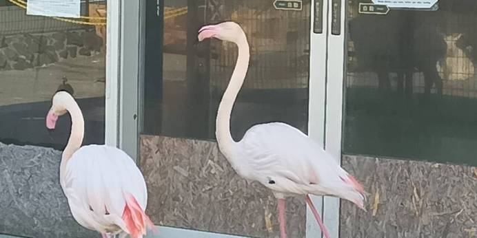 大自然阿蘇 健康の森（阿蘇ファームヴィレッジ）（熊本県 リゾートホテル） / 1