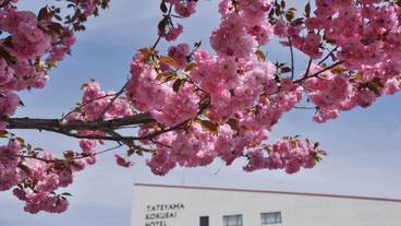 施設の敷地 / 27