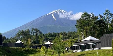 THE SENSE FUJI