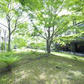 ホテルマロウド軽井沢(長野県 リゾートホテル) / 5