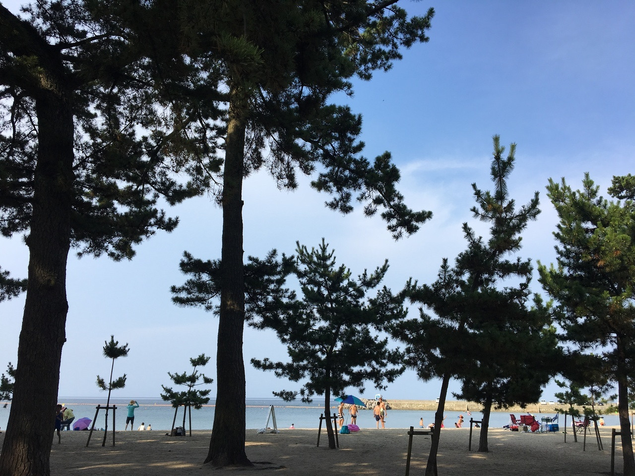 海がすぐ！貸切風呂にお子様メニュー、キッズコーナーなど魅力がいっぱい♪4375649