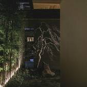 ギャリア・二条城 京都(京都府 シティホテル) / 5