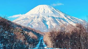 スノー スポーツとスキー / 5