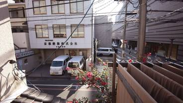 ストリート ビュー / 15