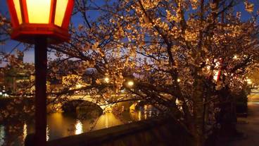 シティ ビュー / 10