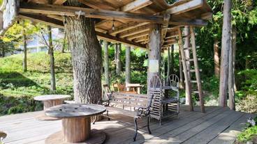 施設の敷地 / 21