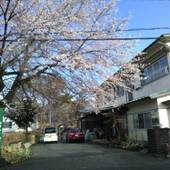 旅館富士ハイツ(山梨県 旅館) / 4