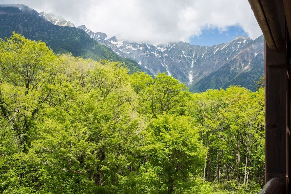 神秘的な自然に魅了されてくつろぐ、贅沢な滞在を3349847