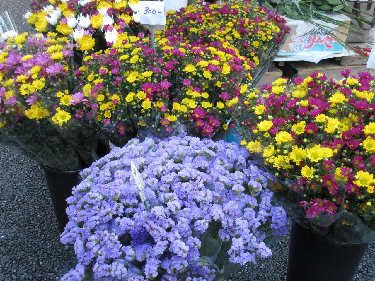 食べ物だけじゃない。お花や園芸用品、雑貨なども販売しています！551518
