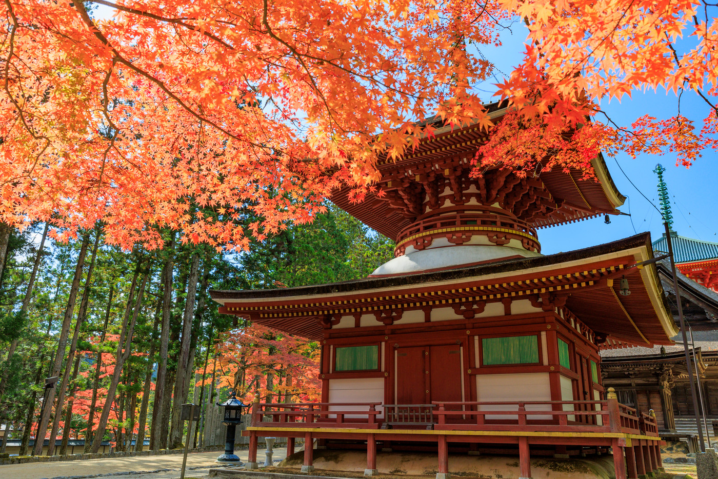 紅葉真っ盛りの高野山