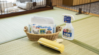 ドッグフレンドリールーム