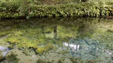 観光スポット / 28