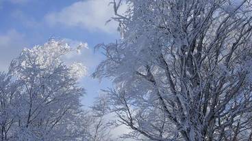施設の敷地 / 16