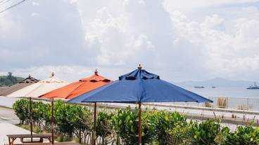 バーベキュー / ピクニック エリア / 7