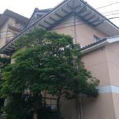 宮島ホテルまこと（広島県 旅館） / 5