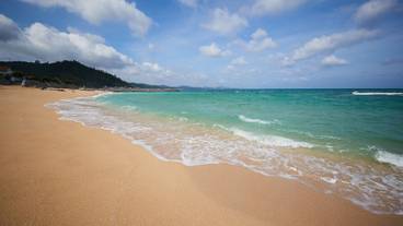 ビーチ / オーシャン ビュー / 16