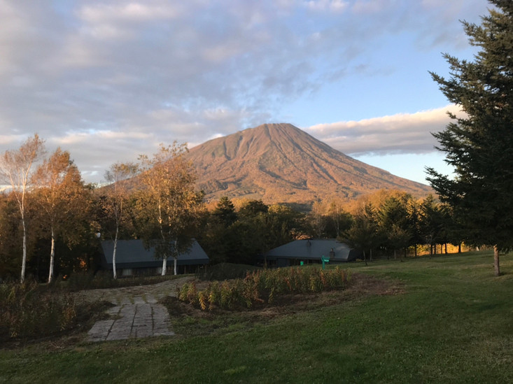 「レストラン・マッカリーナ」 その他 138843555 