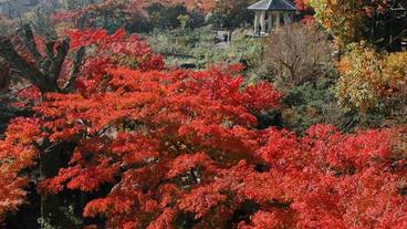 観光スポット / 3