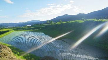 施設の敷地 / 15