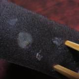 綿半 本店（ワタハン）