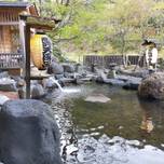 新潟の「日本秘湯を守る会」の温泉宿・旅館｜知る人ぞ知るおすすめ11選