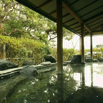 様々な角度から観賞できる庭園を散歩しよう3720158