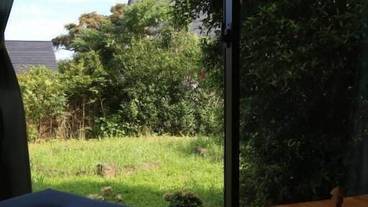 施設からの眺望 / 24