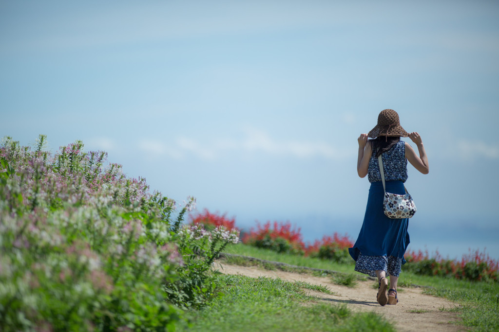 素敵なホテルに泊まって、旅をもっと楽しもう3509116