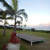 西表島モンスーン（沖縄県 民宿） / 3