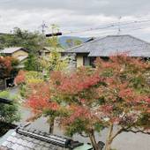 金閣（京都府 ビジネスホテル） / 4