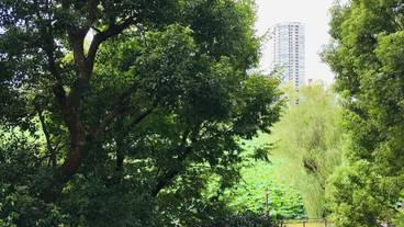 部屋からの景観 / 16