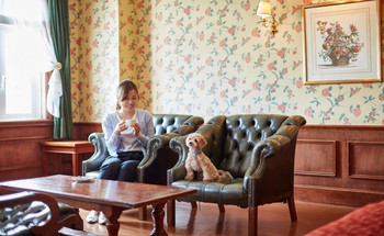 Stay with your beloved family at a pet-friendly hotel♪2365320