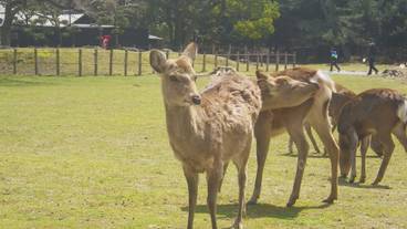 施設からの眺望 / 5