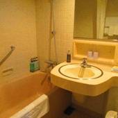 ザ クラウンパレス新阪急高知（旧：高知新阪急ホテル）（高知県 シティホテル） / 4