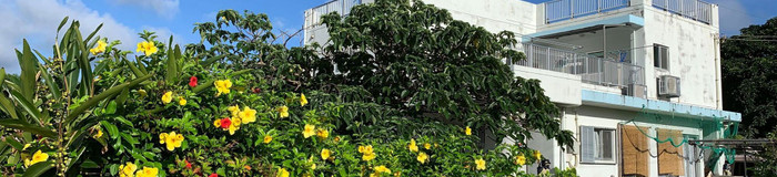 【石垣島】南の島でのんびりと♪おひとりさま旅におすすめのホテル＆ゲストハウス6選