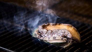 食事・飲み物 / 7