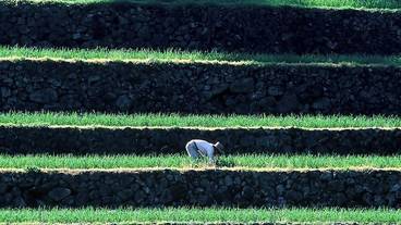 シティ ビュー / 13