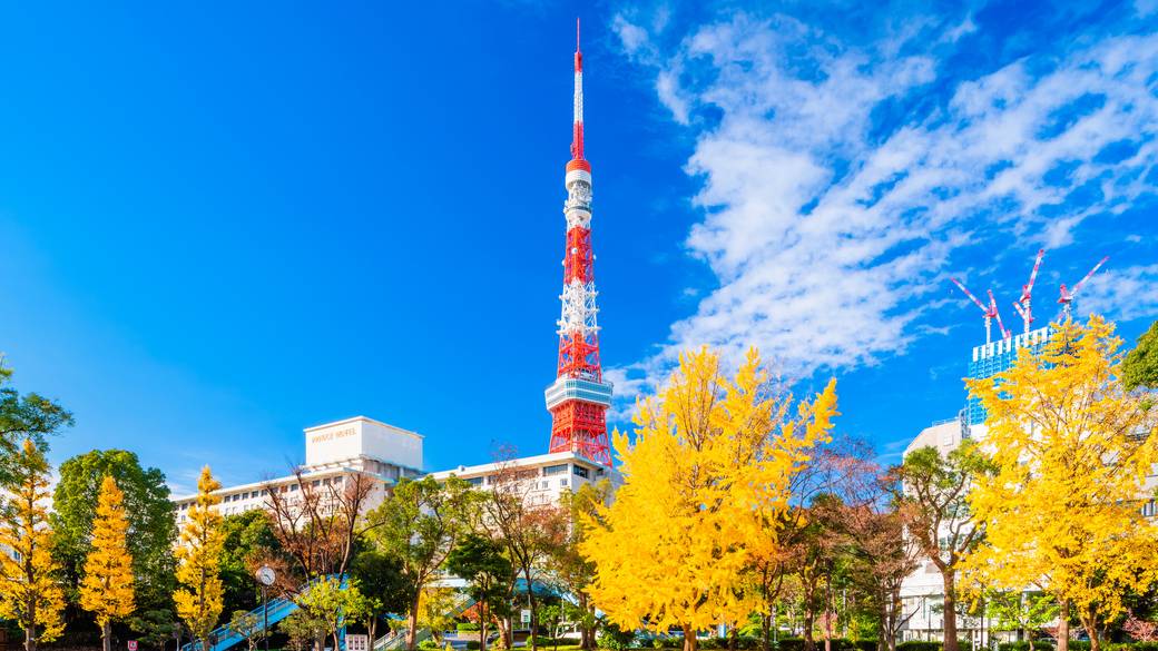 東京タワー、芝公園 / 2