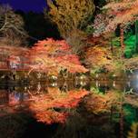11月の京都ならではの紅葉や祭りは見逃せません！厳選した7つのイベントを紹介