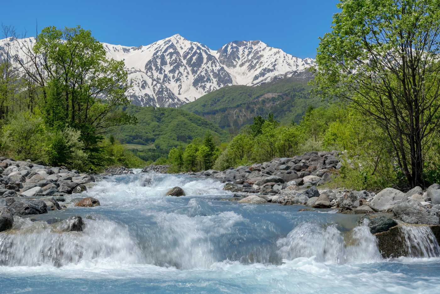 新緑と川の流れ 白馬村松川と白馬三山