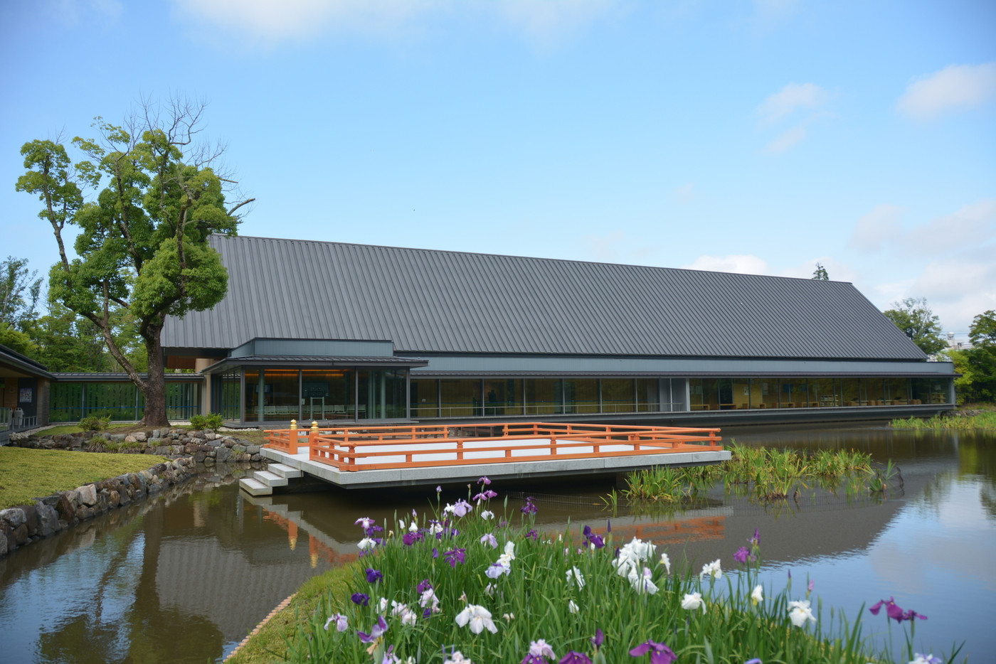 勾玉池と花菖蒲