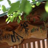 三朝温泉 木造りの宿 橋津屋（鳥取県 旅館） / 3
