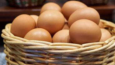 ビュッフェ / 10