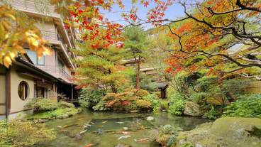 メイン イメージ / 1