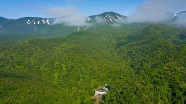 メイン イメージ / 1