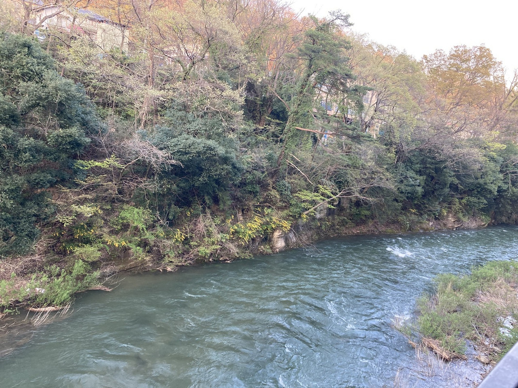 お部屋からは川の流れが見えました