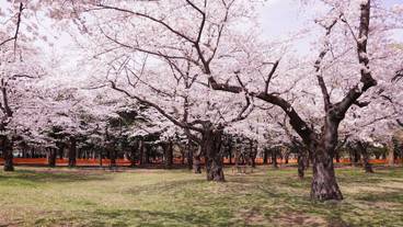 観光スポット / 10