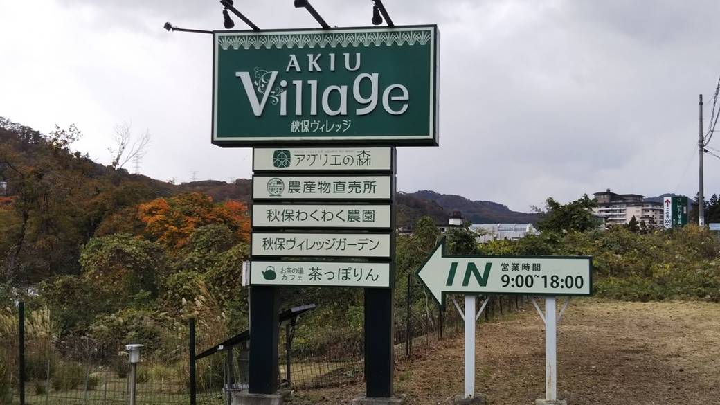 秋保ヴィレッジ  / 1